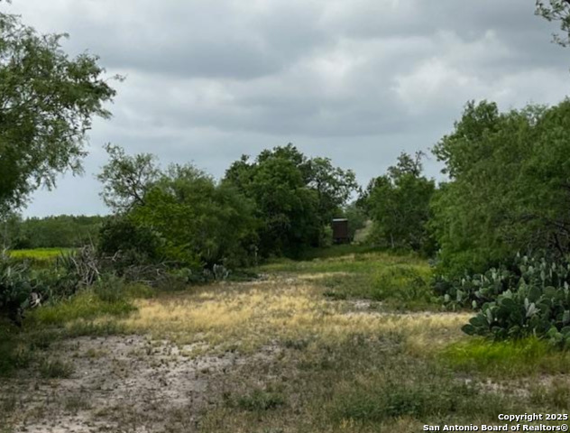 Listing photo id 45 for 1775 County Road 405