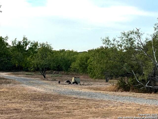 Listing photo id 55 for 1775 County Road 405