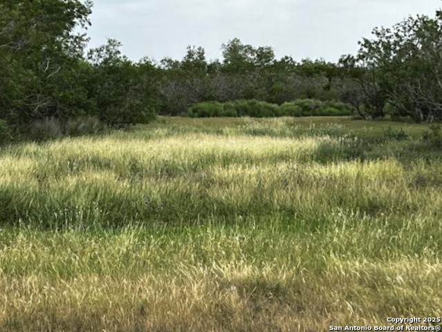 Listing photo id 58 for 1775 County Road 405