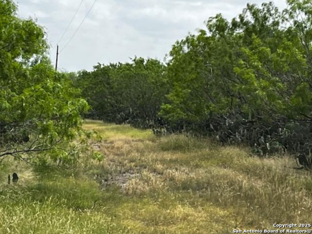 Listing photo id 67 for 1775 County Road 405