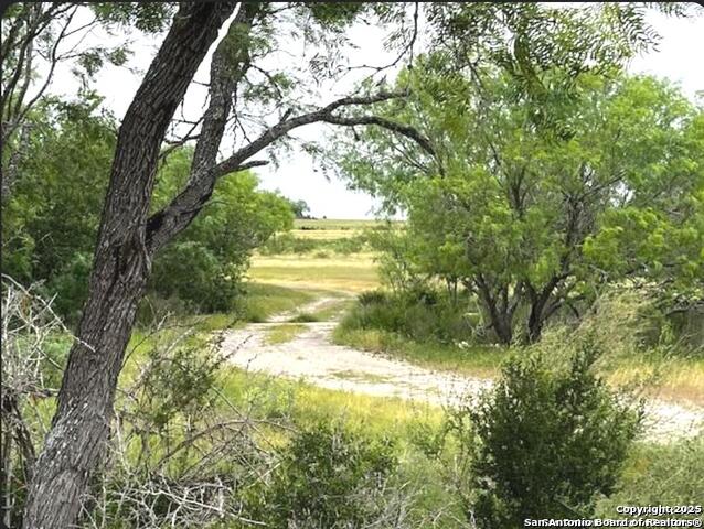 Listing photo id 72 for 1775 County Road 405