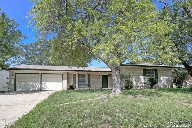331 Shin Oak