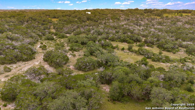 Image 19 of 25 For Lot 15 County Road 368
