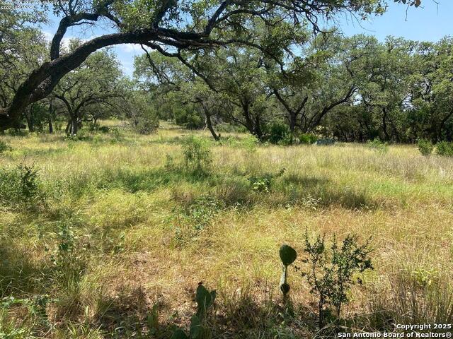 Image 23 of 25 For Lot 15 County Road 368