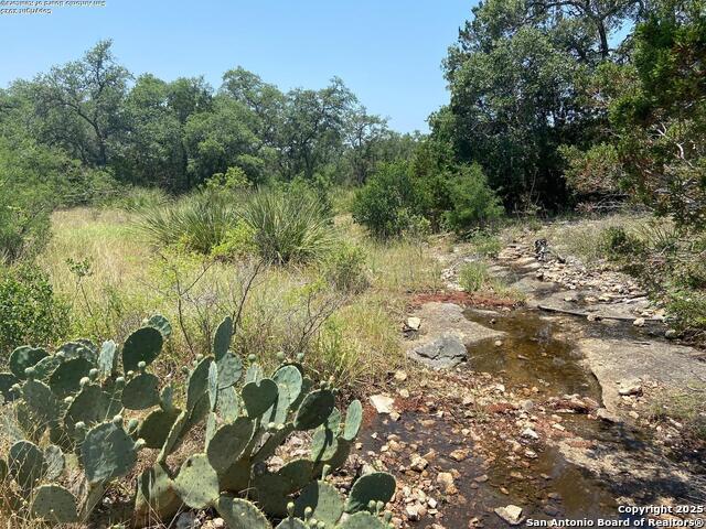 Image 24 of 25 For Lot 15 County Road 368