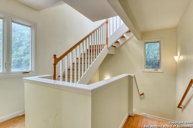 Listing photo id 17 for 509 Canterbury Hill
