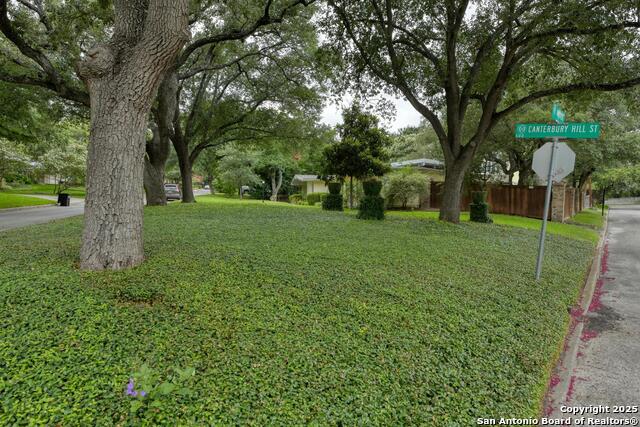 Listing photo id 46 for 509 Canterbury Hill