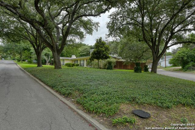 Listing photo id 47 for 509 Canterbury Hill