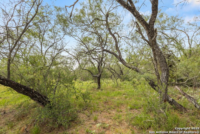 Image 10 of 21 For 11682 Fm 466