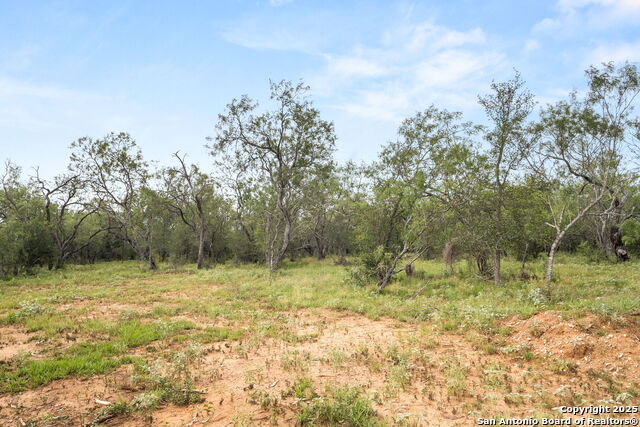 Image 11 of 21 For 11682 Fm 466
