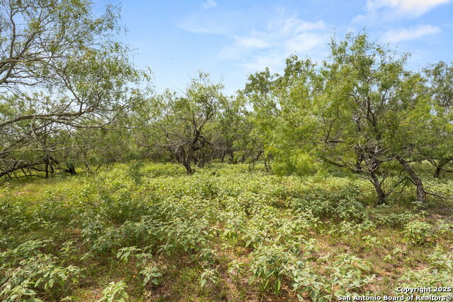 Image 12 of 21 For 11682 Fm 466