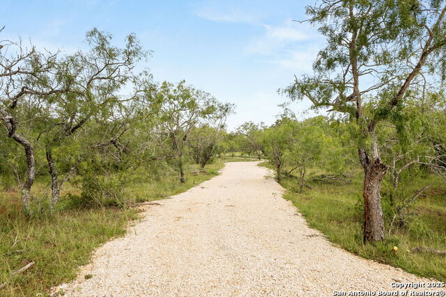 Image 2 of 21 For 11682 Fm 466
