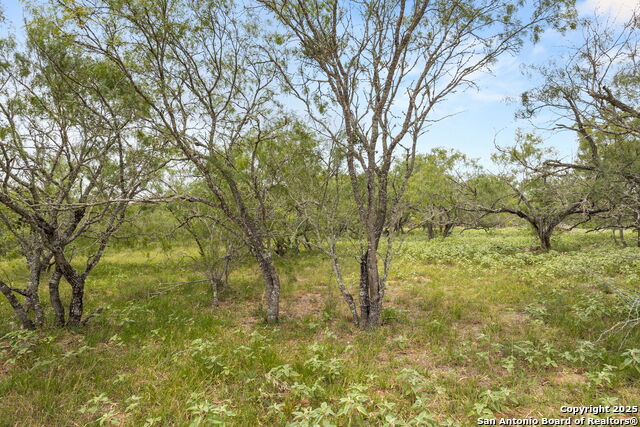 Image 3 of 21 For 11682 Fm 466