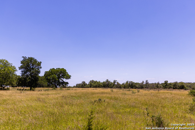 Listing photo id 4 for 190 Jones