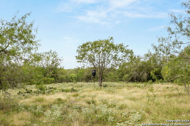 Image 11 of 36 For 3141 Zion Hill