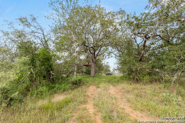 Image 4 of 36 For 3141 Zion Hill