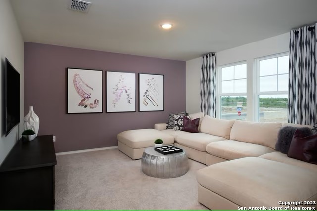 Image 11 of 27 For 13747 Redtail