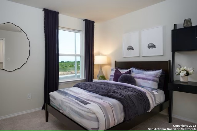 Image 16 of 27 For 13747 Redtail