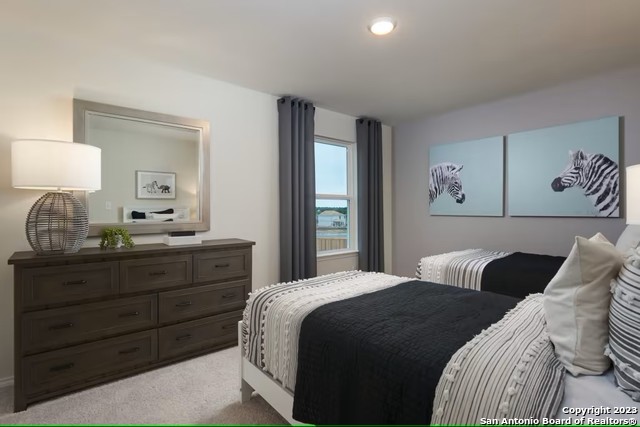 Image 17 of 27 For 13747 Redtail