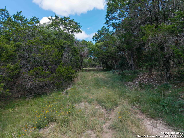 Listing photo id 5 for 581 Gallagher