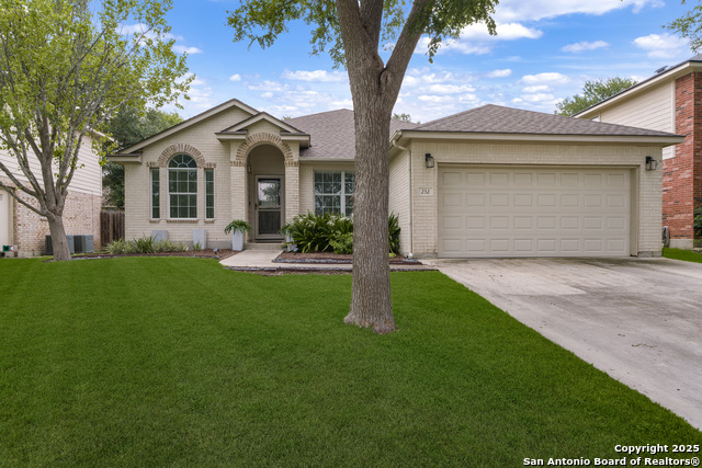 Details for 232 Cinnabar, Cibolo, TX 78108