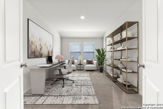 Image 15 of 35 For 32156 Morels