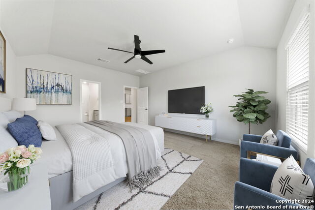 Image 17 of 35 For 32156 Morels