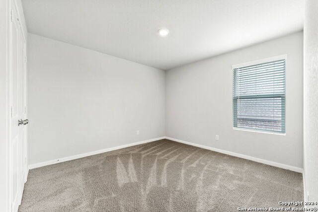 Image 20 of 35 For 32156 Morels