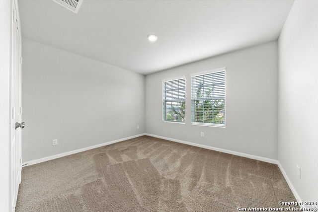 Image 22 of 35 For 32156 Morels