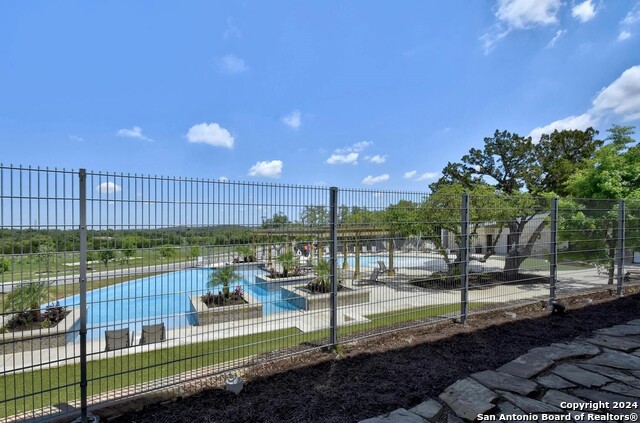 Image 33 of 35 For 32156 Morels