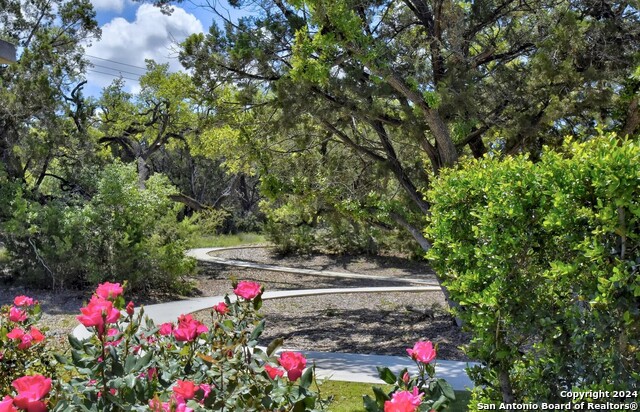 Image 35 of 35 For 32156 Morels