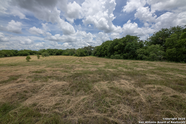 Image 23 of 28 For 901 Fm 1620  