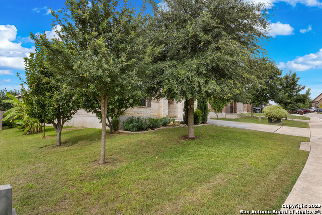 Image 4 of 34 For 3343 Uresti  