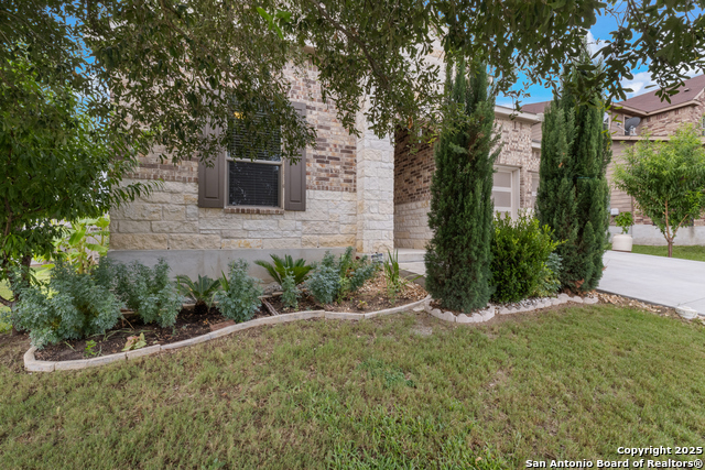 Image 6 of 34 For 3343 Uresti  