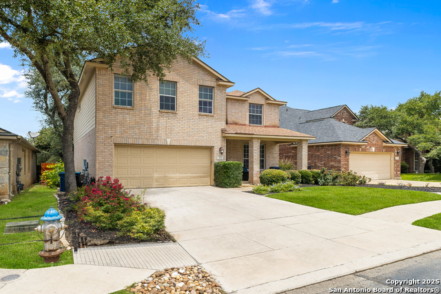 Image 3 of 18 For 2119 Mountain Mist