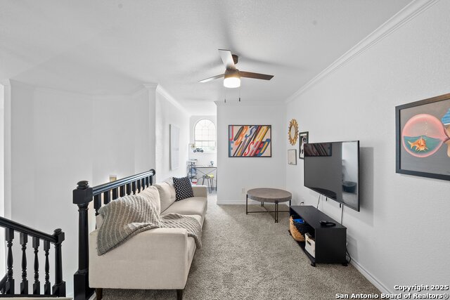 Image 28 of 35 For 9831 Rebel Queen