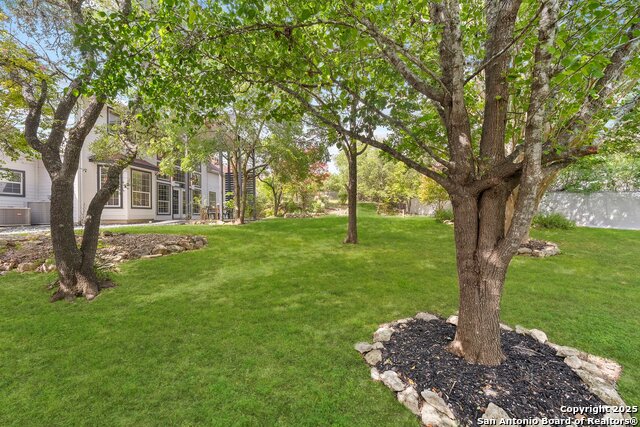 Image 35 of 35 For 9831 Rebel Queen