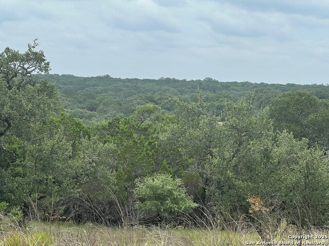 Image 4 of 16 For Lot 19 Monterey