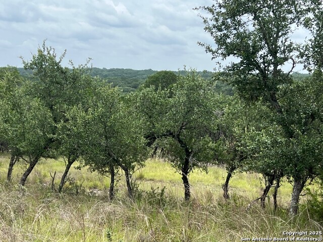 Image 5 of 16 For Lot 19 Monterey