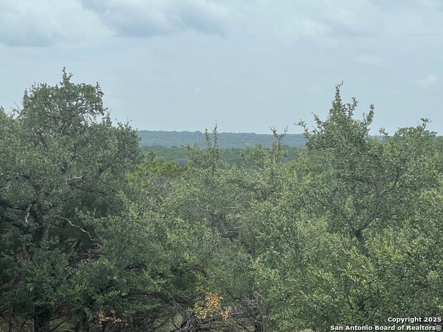 Image 6 of 16 For Lot 19 Monterey