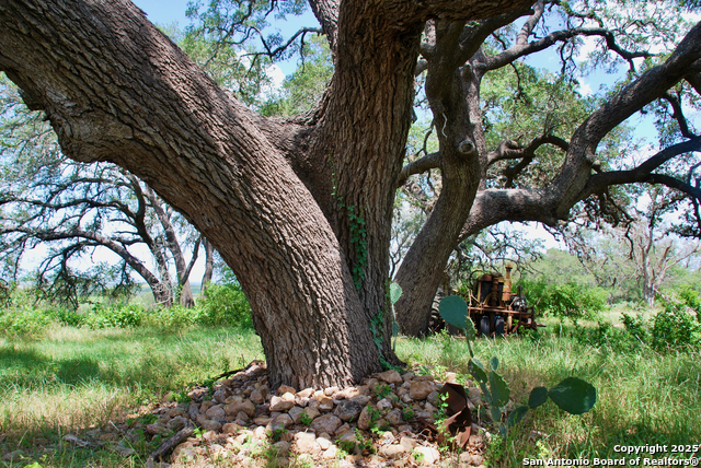 Listing photo id 22 for 2725 Old Lehmann