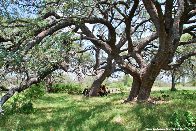Listing photo id 23 for 2725 Old Lehmann
