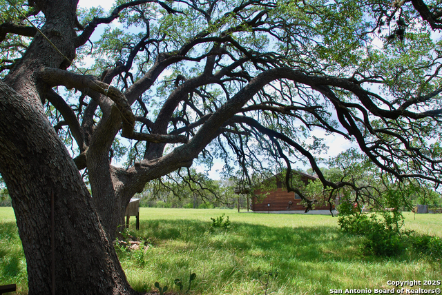 Listing photo id 24 for 2725 Old Lehmann