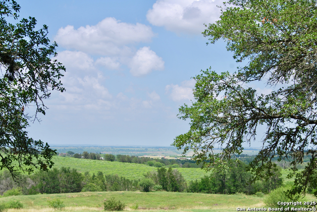 Listing photo id 27 for 2725 Old Lehmann