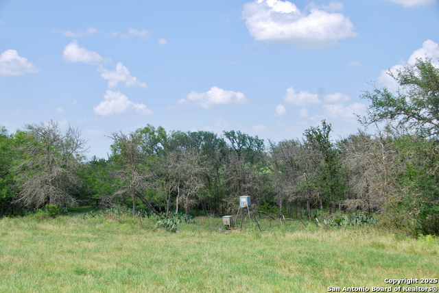 Listing photo id 32 for 2725 Old Lehmann