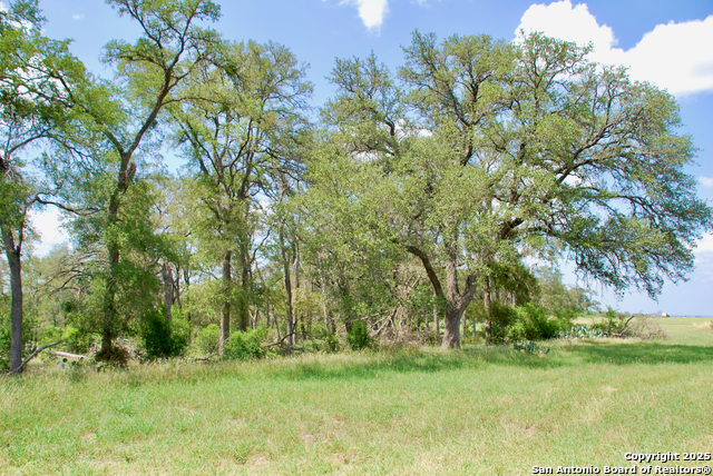 Listing photo id 37 for 2725 Old Lehmann