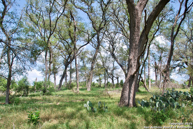 Listing photo id 38 for 2725 Old Lehmann