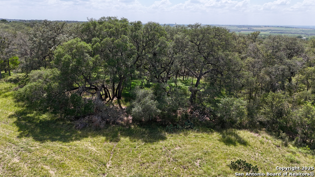 Listing photo id 39 for 2725 Old Lehmann