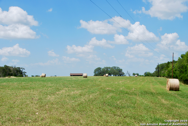 Listing photo id 43 for 2725 Old Lehmann