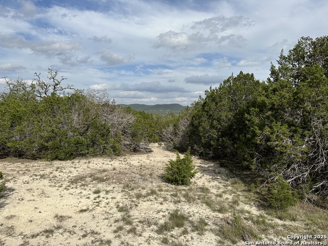 Details for 0000 Bear Springs, Pipe Creek, TX 78063